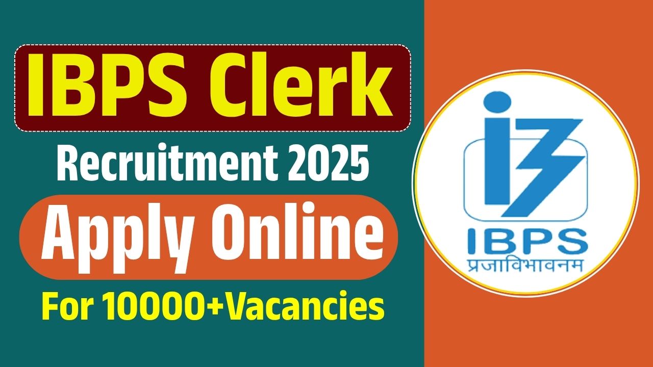 IBPS Clerk Recruitment 2025